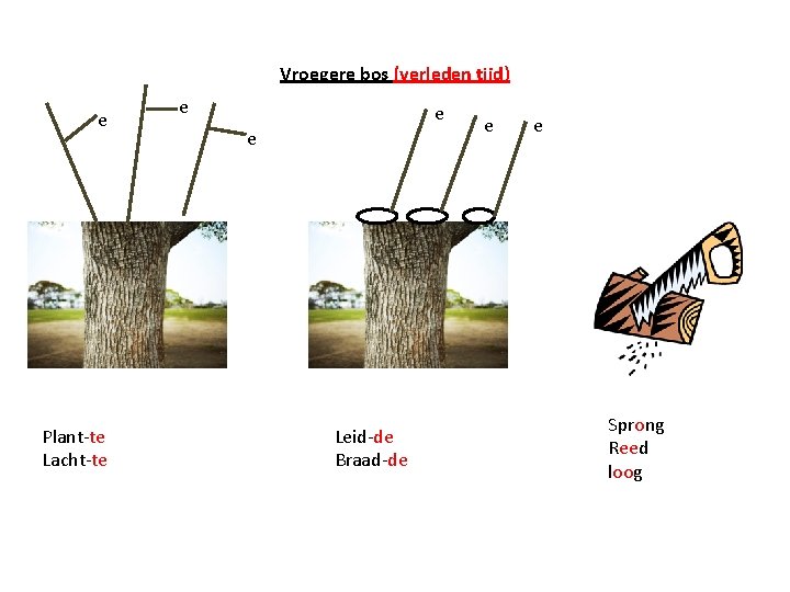 Vroegere bos (verleden tijd) e Plant-te Lacht-te e Leid-de Braad-de e e Sprong Reed