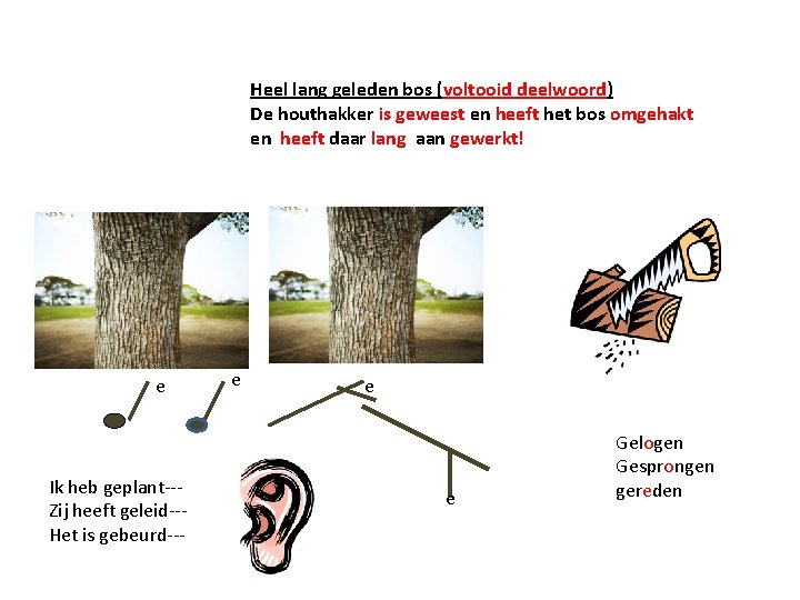 Heel lang geleden bos (voltooid deelwoord) De houthakker is geweest en heeft het bos