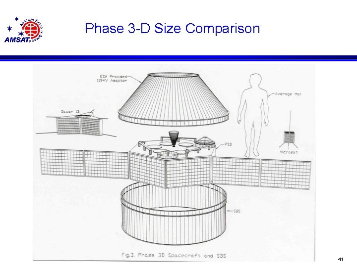 Phase 3 -D Size Comparison 41 