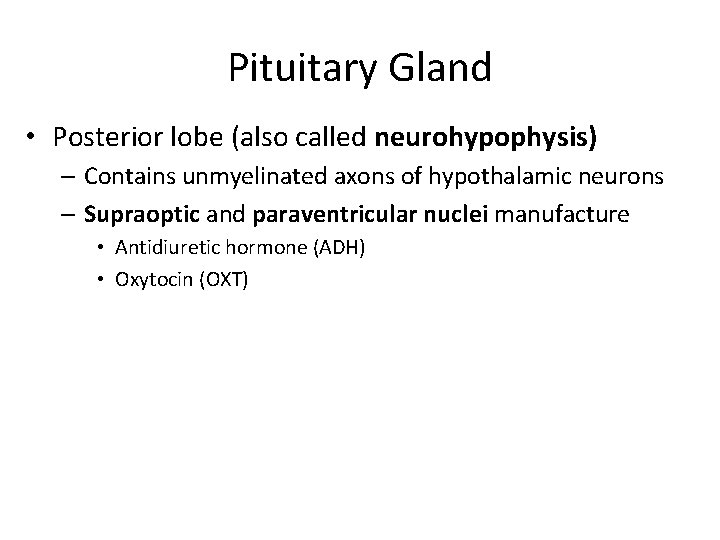 Pituitary Gland • Posterior lobe (also called neurohypophysis) – Contains unmyelinated axons of hypothalamic