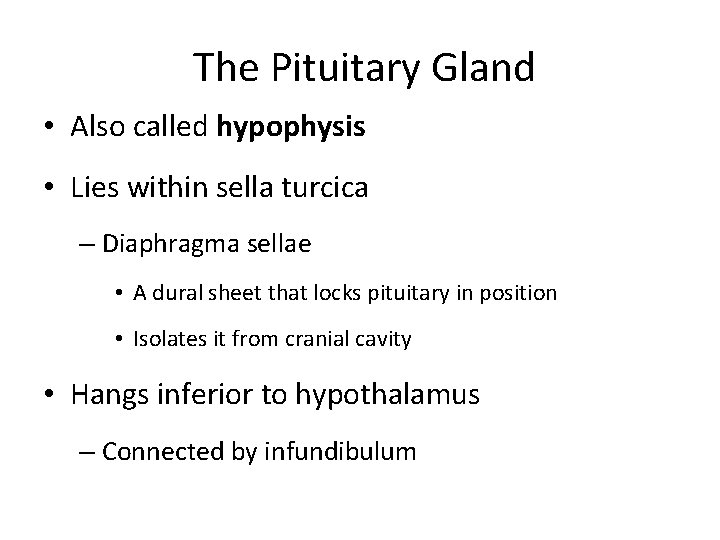 The Pituitary Gland • Also called hypophysis • Lies within sella turcica – Diaphragma