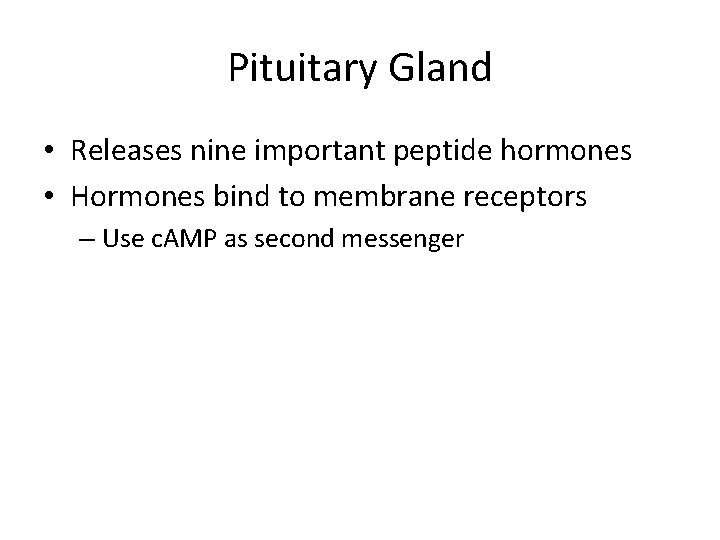 Pituitary Gland • Releases nine important peptide hormones • Hormones bind to membrane receptors
