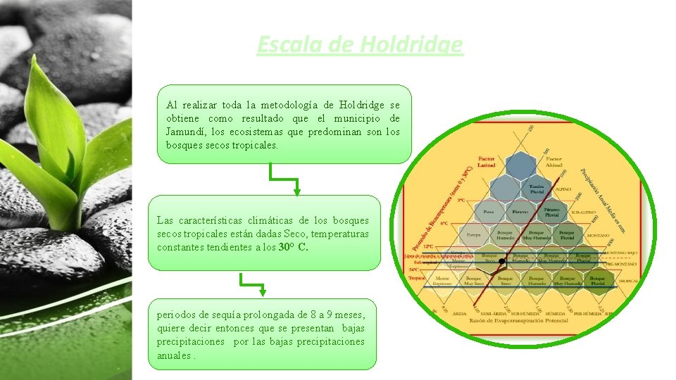 Escala de Holdridge Al realizar toda la metodología de Holdridge se • . como