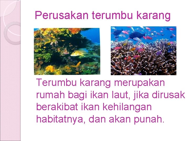 Perusakan terumbu karang Terumbu karang merupakan rumah bagi ikan laut, jika dirusak berakibat ikan Perusakan terumbu karang Terumbu karang merupakan rumah bagi ikan laut, jika dirusak berakibat ikan