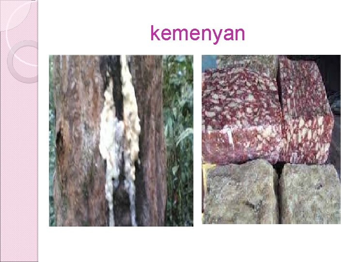 kemenyan kemenyan