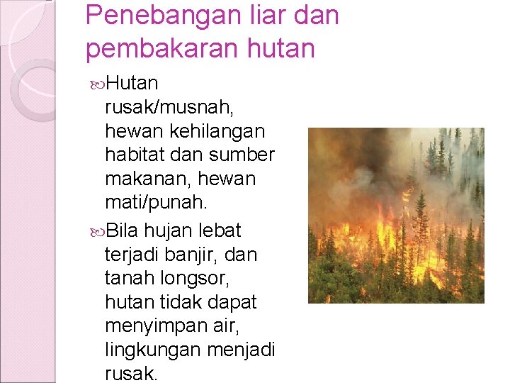 Penebangan liar dan pembakaran hutan Hutan rusak/musnah, hewan kehilangan habitat dan sumber makanan, hewan Penebangan liar dan pembakaran hutan Hutan rusak/musnah, hewan kehilangan habitat dan sumber makanan, hewan
