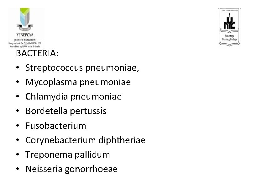 BACTERIA: • Streptococcus pneumoniae, • Mycoplasma pneumoniae • Chlamydia pneumoniae • Bordetella pertussis •