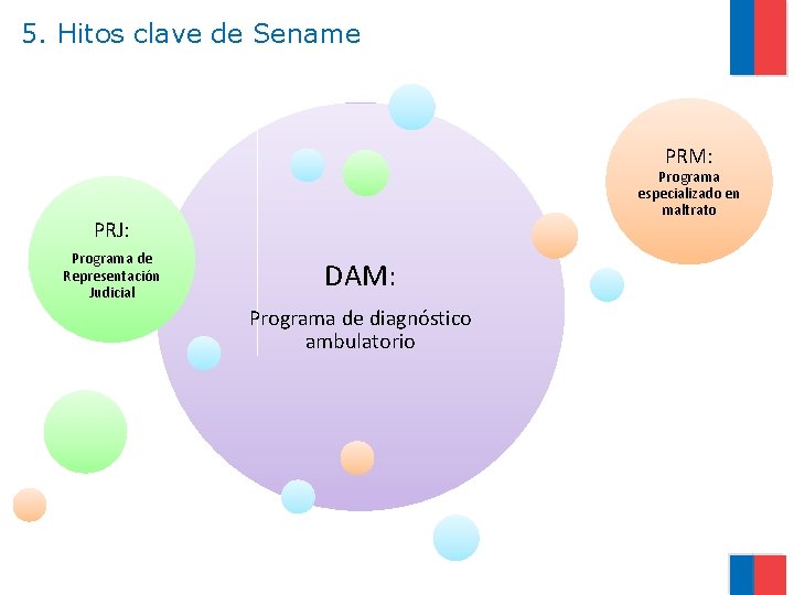 5. Hitos clave de Sename PRM: Programa especializado en maltrato PRJ: Programa de Representación