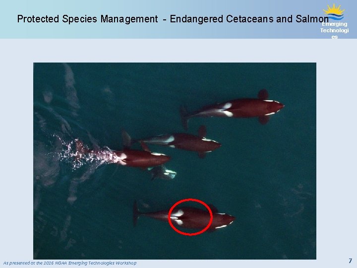 Protected Species Management - Endangered Cetaceans and Salmon Emerging Technologi es As presented at