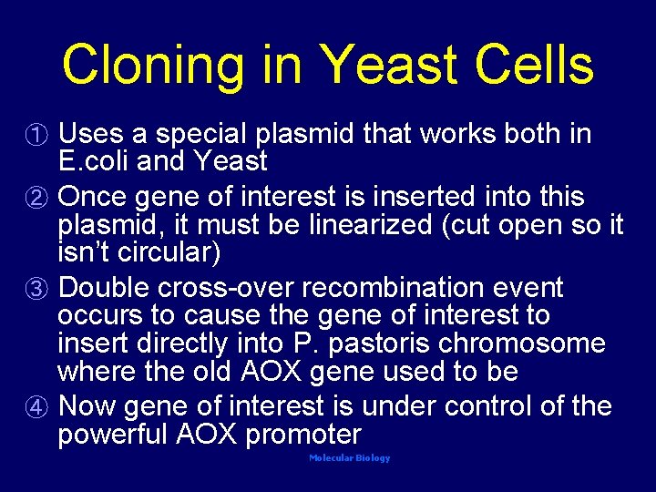 Cloning in Yeast Cells Uses a special plasmid that works both in E. coli