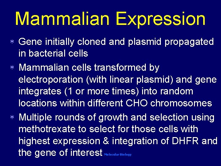 Mammalian Expression Gene initially cloned and plasmid propagated in bacterial cells * Mammalian cells