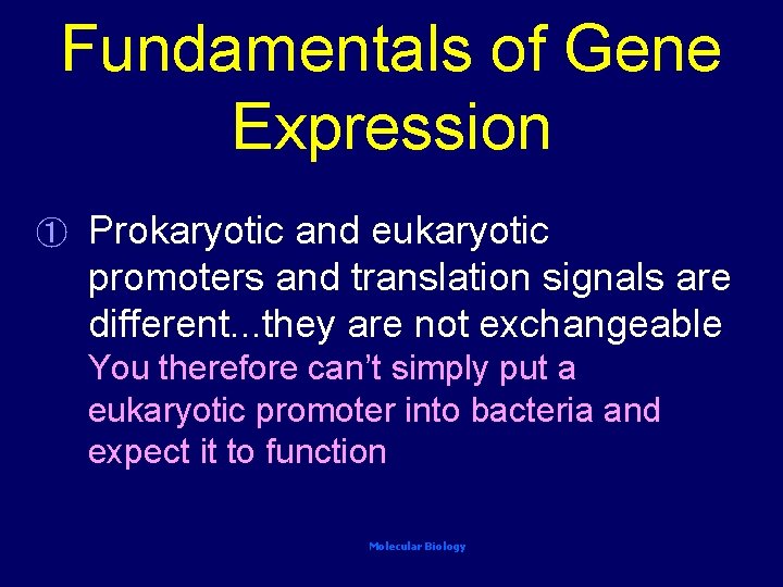 Fundamentals of Gene Expression ① Prokaryotic and eukaryotic promoters and translation signals are different.