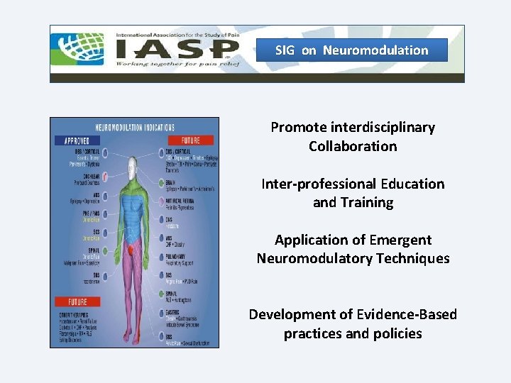 SIG on Neuromodulation Promote interdisciplinary Collaboration Inter-professional Education and Training Application of Emergent Neuromodulatory