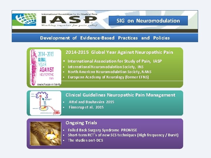 SIG on Neuromodulation Development of Evidence-Based Practices and Policies 2014 -2015 Global Year Against