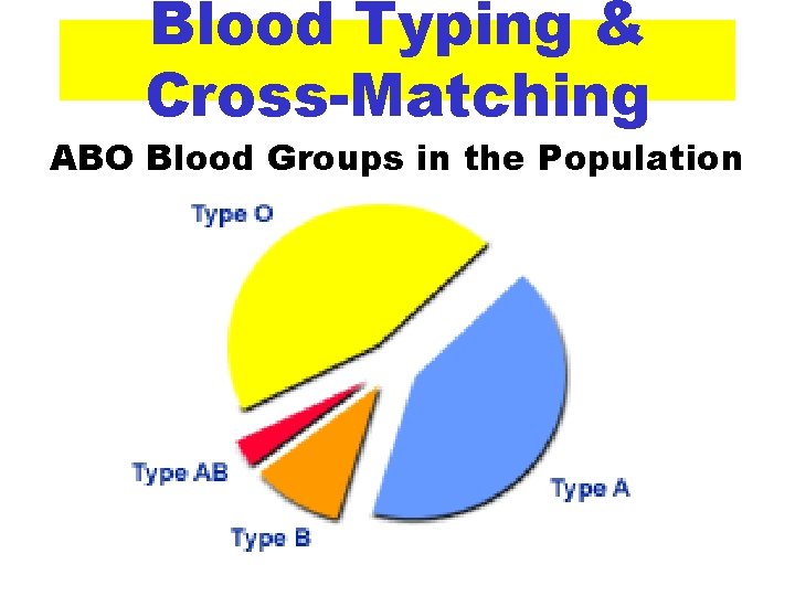 Blood Typing & Cross-Matching ABO Blood Groups in the Population 