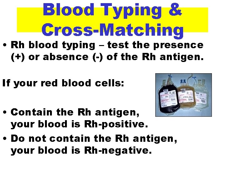 Blood Typing & Cross-Matching • Rh blood typing – test the presence (+) or