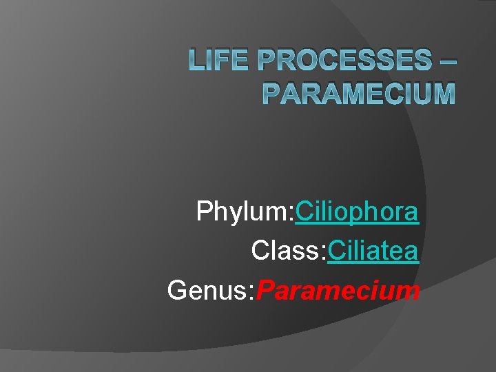 LIFE PROCESSES – PARAMECIUM Phylum: Ciliophora Class: Ciliatea Genus: Paramecium 
