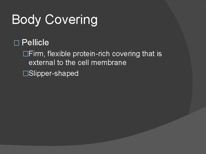 Body Covering � Pellicle �Firm, flexible protein-rich covering that is external to the cell