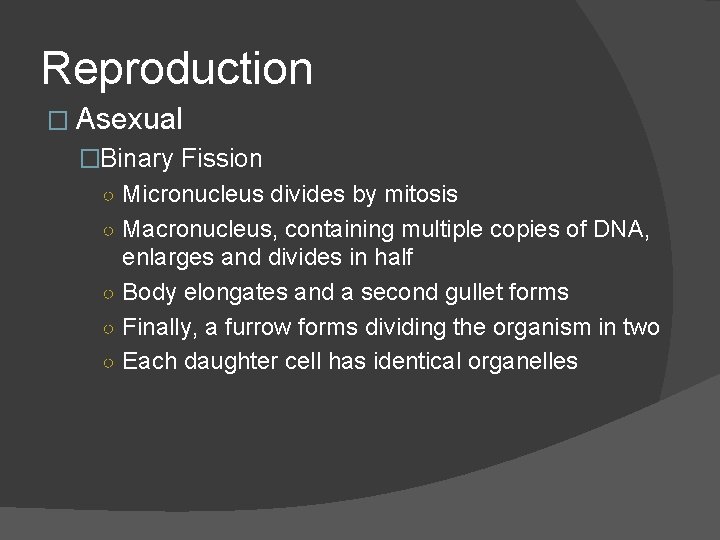 Reproduction � Asexual �Binary Fission ○ Micronucleus divides by mitosis ○ Macronucleus, containing multiple