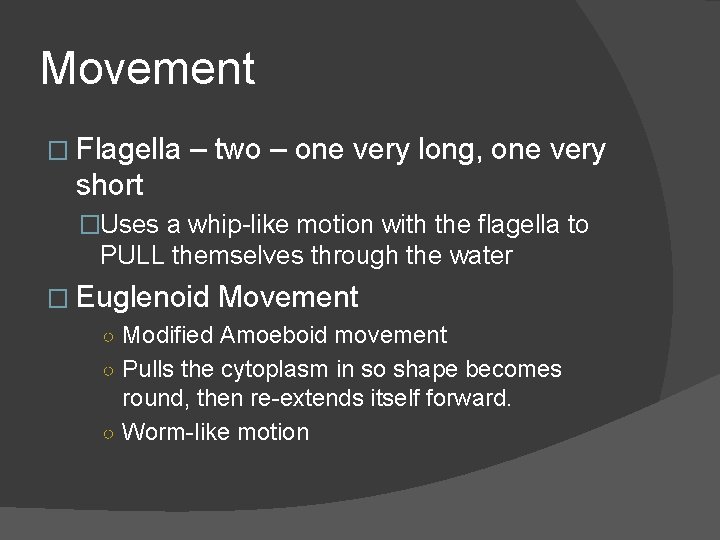 Movement � Flagella – two – one very long, one very short �Uses a