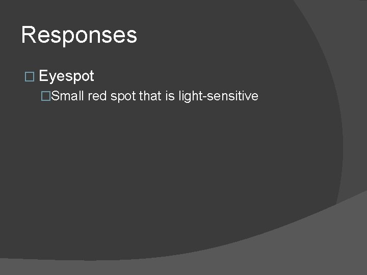 Responses � Eyespot �Small red spot that is light-sensitive 
