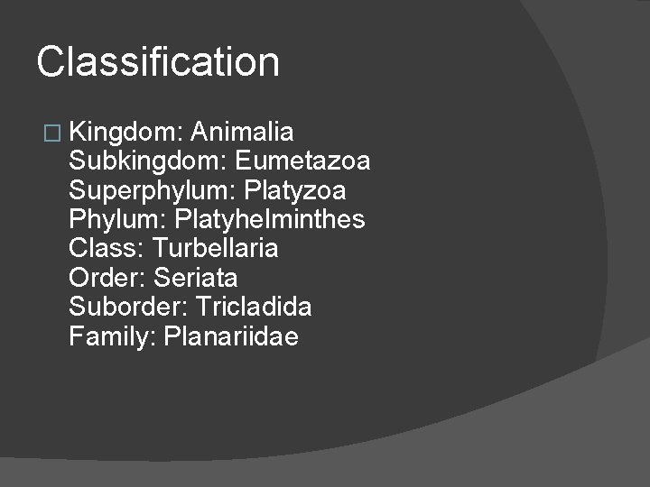 Classification � Kingdom: Animalia Subkingdom: Eumetazoa Superphylum: Platyzoa Phylum: Platyhelminthes Class: Turbellaria Order: Seriata