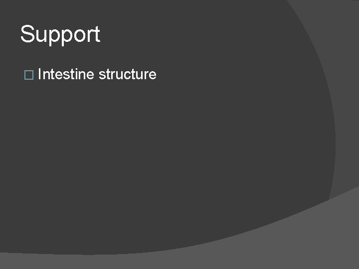 Support � Intestine structure 
