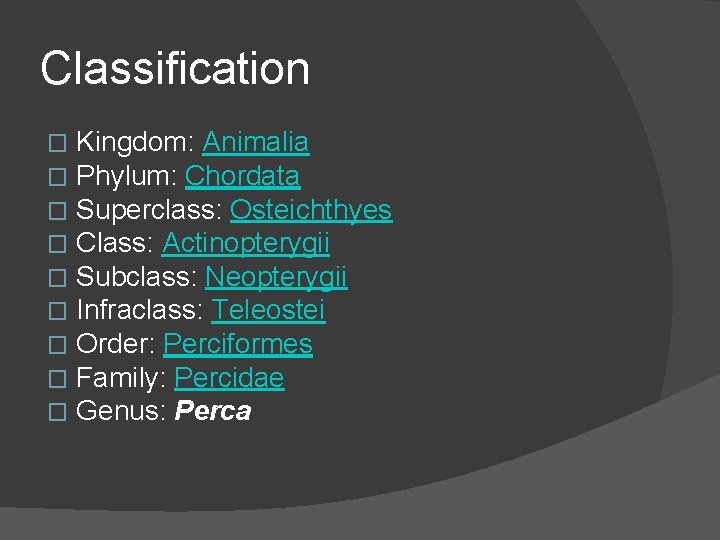 Classification � � � � � Kingdom: Animalia Phylum: Chordata Superclass: Osteichthyes Class: Actinopterygii