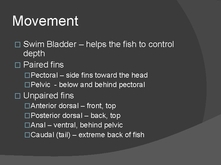 Movement Swim Bladder – helps the fish to control depth � Paired fins �