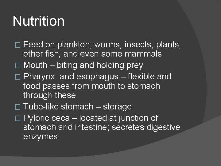 Nutrition Feed on plankton, worms, insects, plants, other fish, and even some mammals �