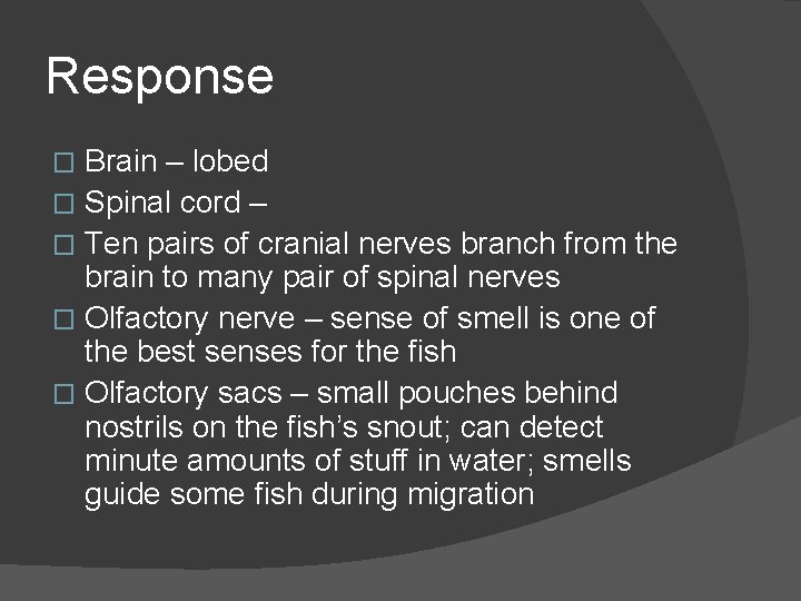 Response Brain – lobed � Spinal cord – � Ten pairs of cranial nerves