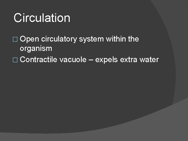 Circulation � Open circulatory system within the organism � Contractile vacuole – expels extra