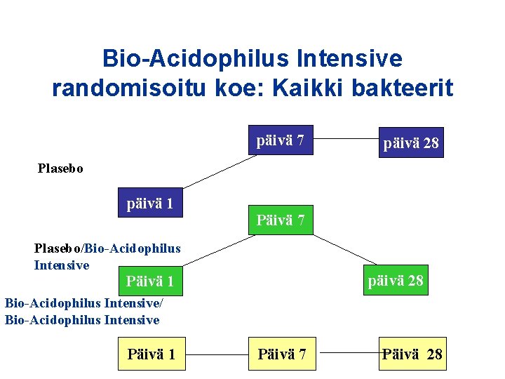 Bio-Acidophilus Intensive randomisoitu koe: Kaikki bakteerit päivä 7 päivä 28 Plasebo päivä 1 Päivä