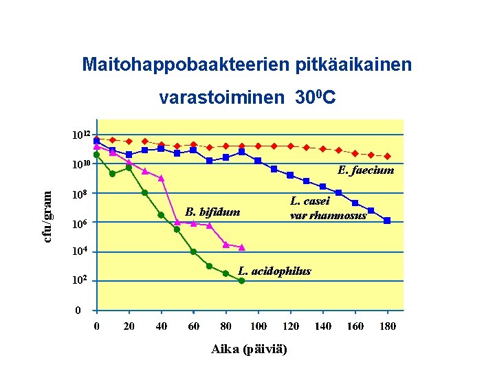 Maitohappobaakteerien pitkäaikainen varastoiminen 300 C 1012 cfu/gram 1010 E. faecium 108 106 B. bifidum