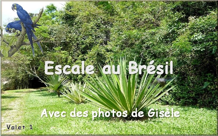 Escale au Brésil Avec des photos de Gisèle Volet 1 