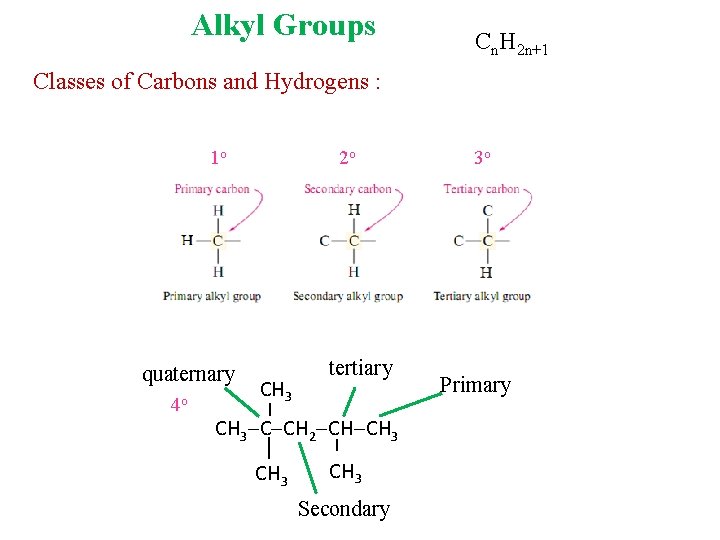 Alkyl Groups Cn. H 2 n+1 Classes of Carbons and Hydrogens : 1 o