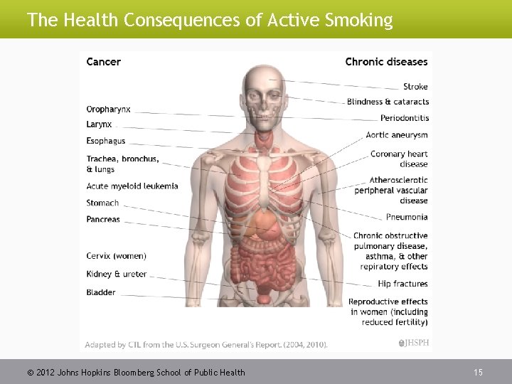 The Health Consequences of Active Smoking 2012 Johns Hopkins Bloomberg School of Public Health