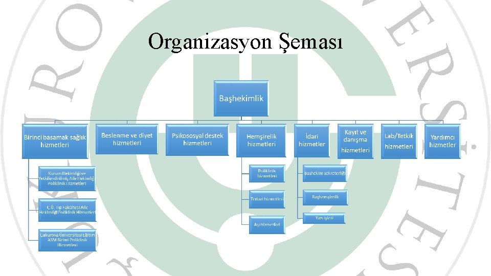 Organizasyon Şeması 