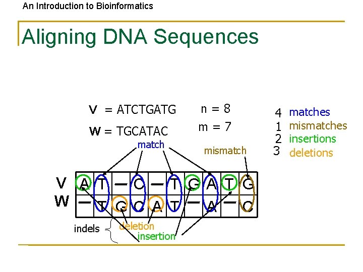 An Introduction to Bioinformatics Aligning DNA Sequences V = ATCTGATG W = TGCATAC match