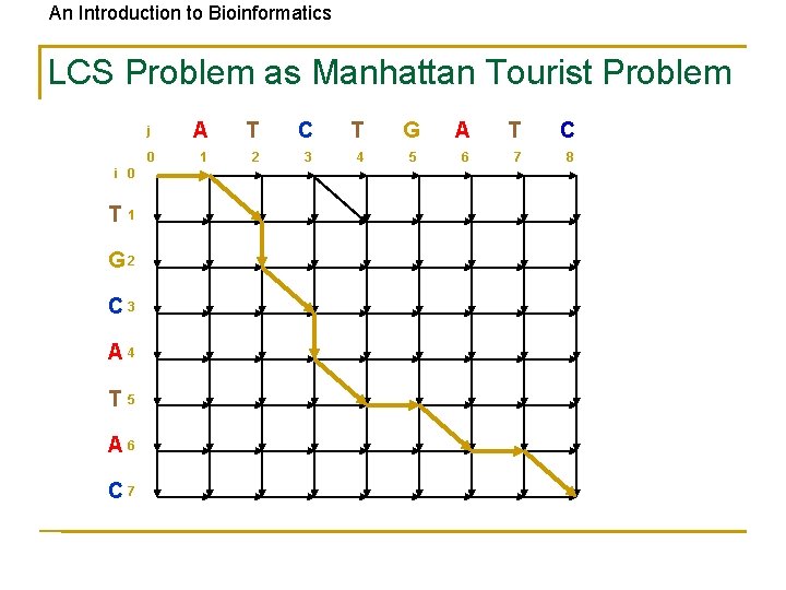 An Introduction to Bioinformatics LCS Problem as Manhattan Tourist Problem i 0 T 1