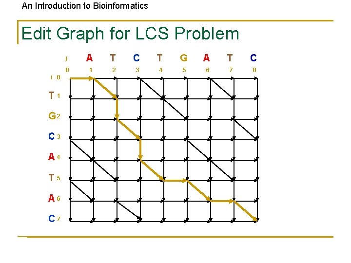 An Introduction to Bioinformatics Edit Graph for LCS Problem i 0 T 1 G