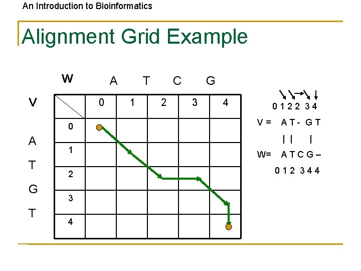 An Introduction to Bioinformatics Alignment Grid Example W V 0 0 A T G