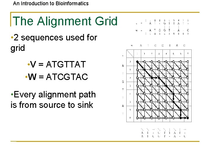 An Introduction to Bioinformatics The Alignment Grid • 2 sequences used for grid •