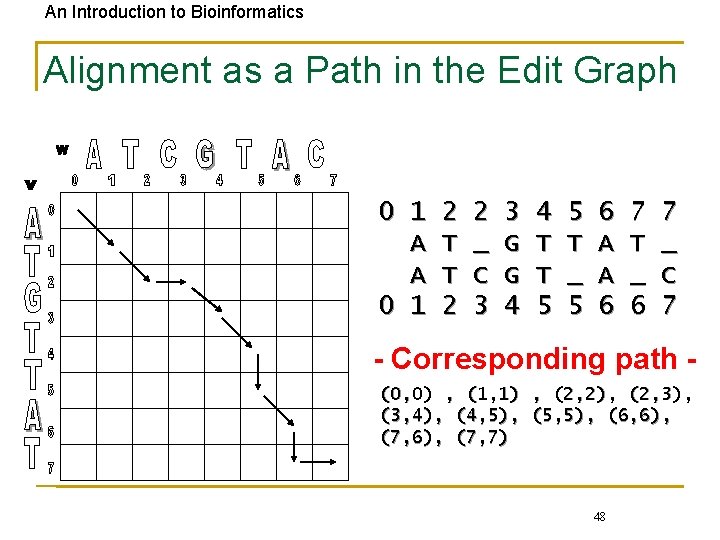 An Introduction to Bioinformatics Alignment as a Path in the Edit Graph 0 1