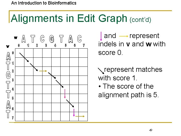 An Introduction to Bioinformatics Alignments in Edit Graph (cont’d) and represent indels in v