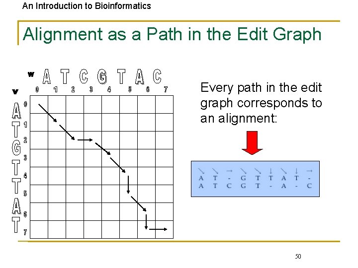 An Introduction to Bioinformatics Alignment as a Path in the Edit Graph Every path