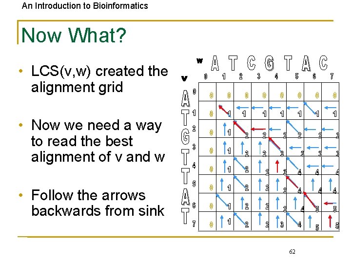 An Introduction to Bioinformatics Now What? • LCS(v, w) created the alignment grid •
