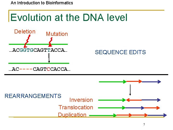 An Introduction to Bioinformatics Evolution at the DNA level Deletion Mutation …ACGGTGCAGTTACCA… SEQUENCE EDITS