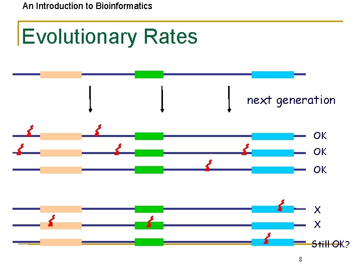 An Introduction to Bioinformatics Evolutionary Rates next generation OK OK OK X X Still