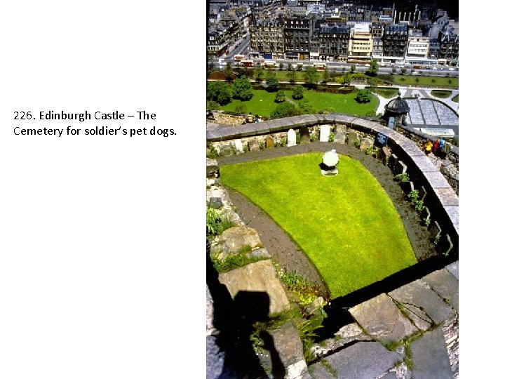 226. Edinburgh Castle – The Cemetery for soldier’s pet dogs. 